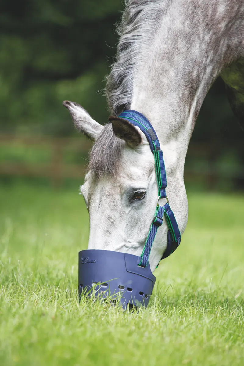 Shires Flexi Grazer Muzzle in Navy Blue